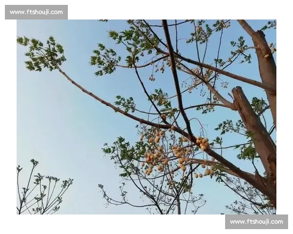 芦苇与橡树的较量揭示柔弱与坚强的真正力量